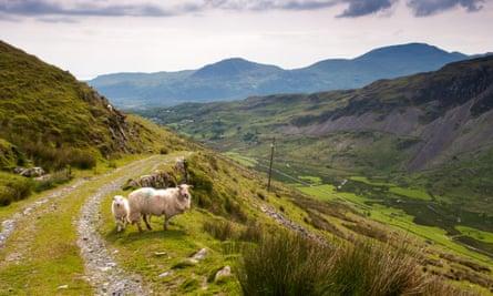 Off-peak: climbing Snowdonia’s smaller, quieter summits | Snowdonia holidays